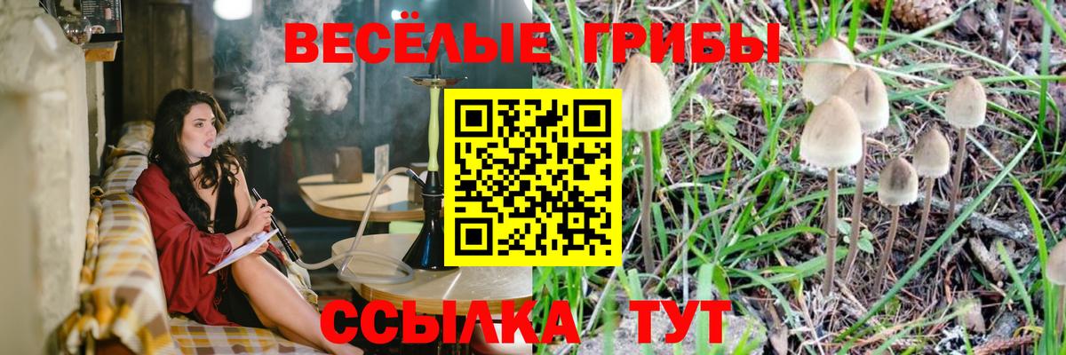 Галлюциногенные грибы прущие грибы Гагарин