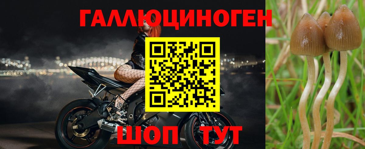 Псилоцибиновые грибы Psilocybe  Галлюциногенные грибы GOLDEN TEACHER  Гагарин 